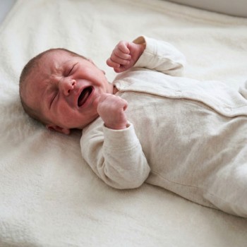 ¿Se puede dar agua de anís para calmar los cólicos de los bebés?
