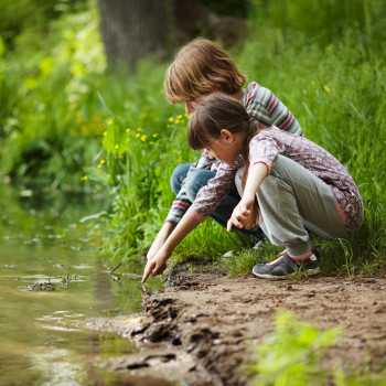 6 juegos únicos y originales para que los niños aprendan de ecología