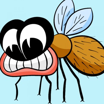 La mosca encerrada. Poema divertido para niños