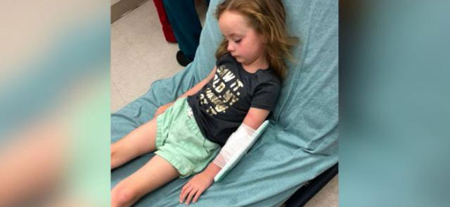 Niña paralizada por garrapata