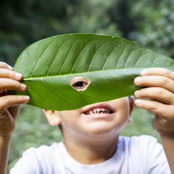 Por qué deberíamos fomentar el autoaprendizaje de los niños en casa