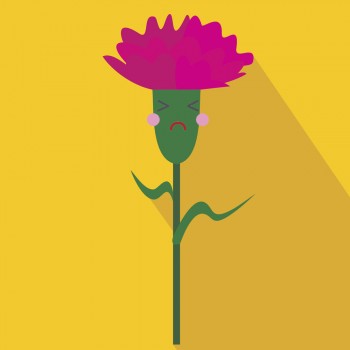 El clavel dictador. Cuento para niños mandones y con mal genio