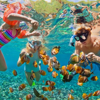 Los porqués de los niños sobre el océano