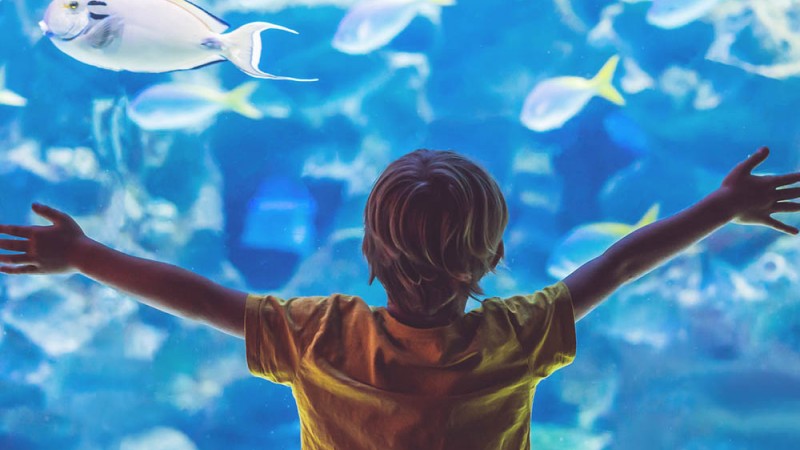Preguntas de los niños sobre los océanos y los mares