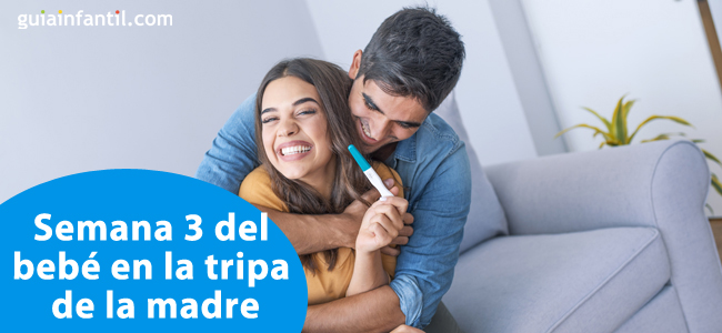 Semana 3 del bebé en la tripa de la madre