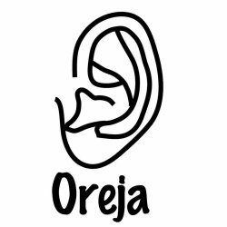 El cuidado del oído y la audición de los niños