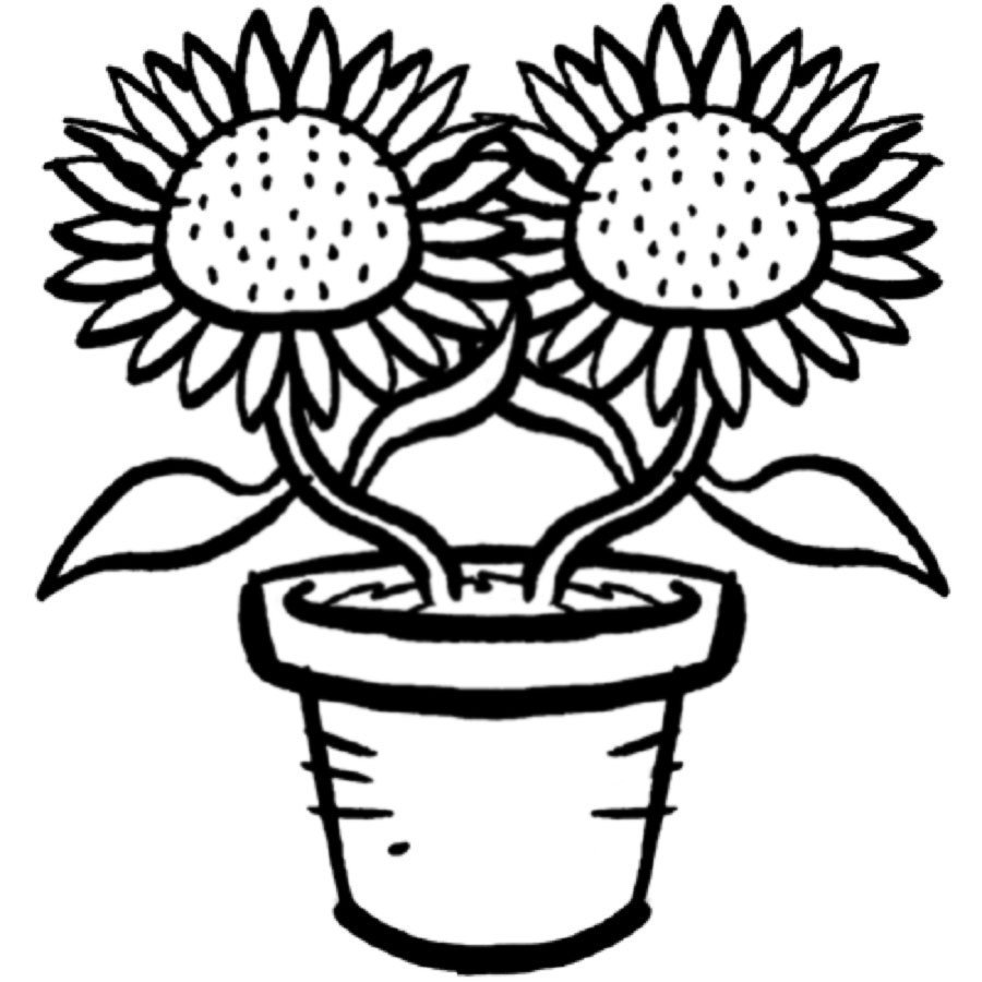 Dibujos para colorear de flores y plantas