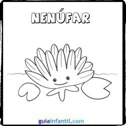 Dibujo de un nenúfar para pintar con los niños