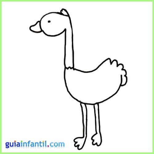 Dibujo de avestruz para imprimir y colorear