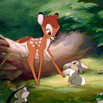 Bambi. Tradicional película de dibujos