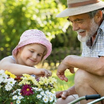 Abuelos enseñan a los niños a cuidar del jardín