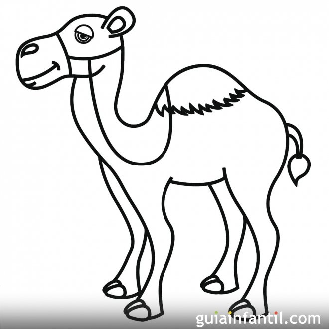 Dibujo de un camello para colorear en Navidad