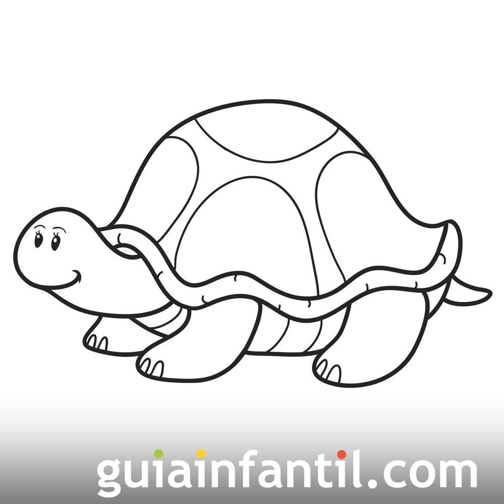 Tortuga simpática y observadora. Dibujo para colorear