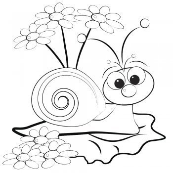 Dibujo de un caracol en primavera para colorear