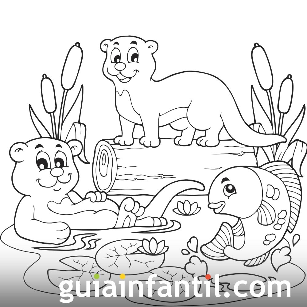 Dibujo De Animales De Río Para Colorear En Primavera