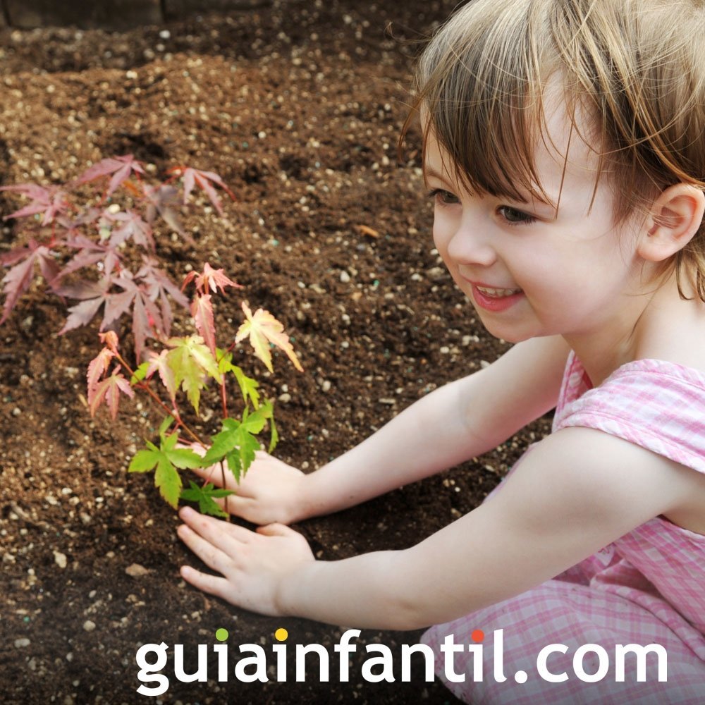 Responsabilizar a los niños por una planta