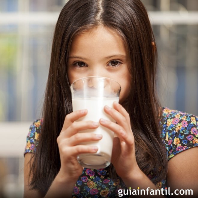 Tomar leche y derivados todos los días de la semana