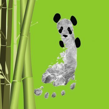 Oso panda con la huella del pie