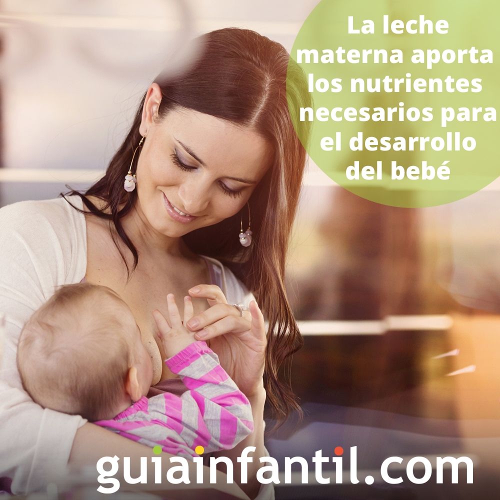 2. La leche materna aporta los nutrientes necesarios para el desarrollo del bebé