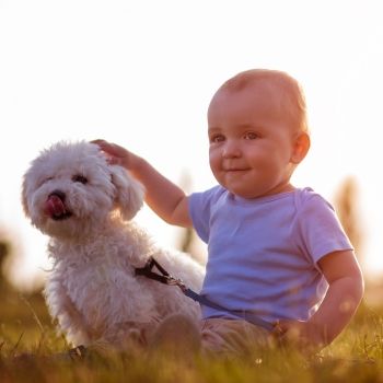 Un perrito y un bebé