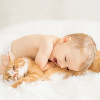 Los gatos también son amigos de los bebés