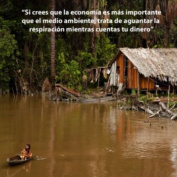 Frase sobre el medio ambiente y el hombre