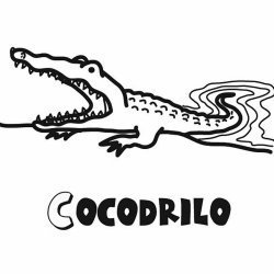 Dibujo para colorear de cocodrilo