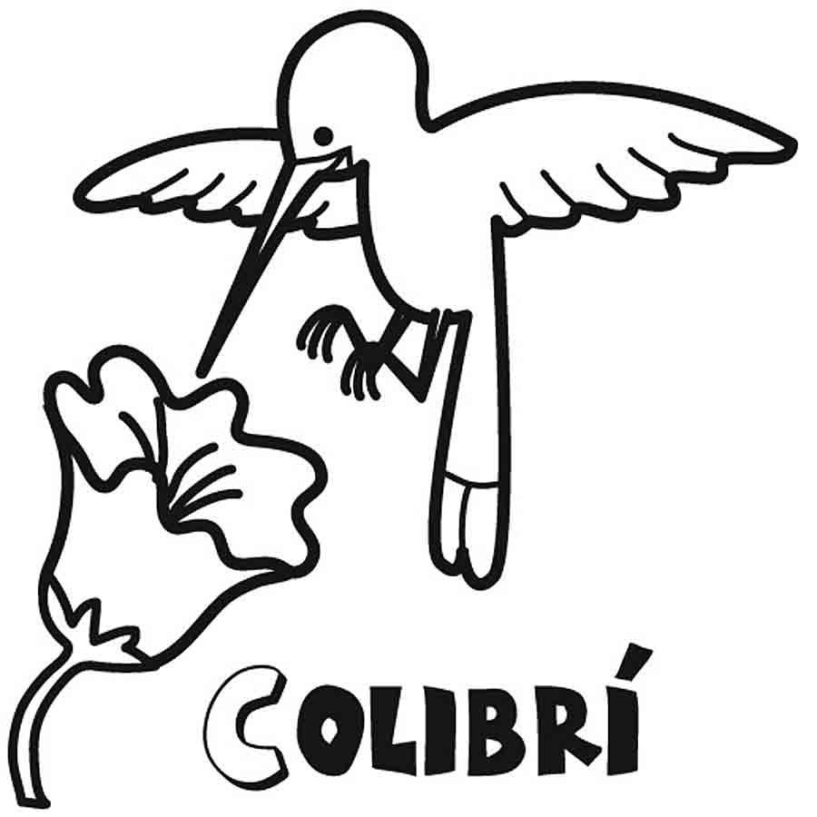 Dibujo para niños de colibrí