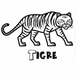 Dibujo de tigre para niños