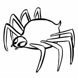 Dibujo infantil de araña del bosque