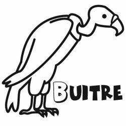 Dibujo para colorear de un buitre