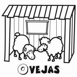 Dibujo de ovejas para colorear