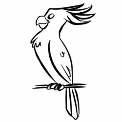Dibujo de una cacatúa para colorear