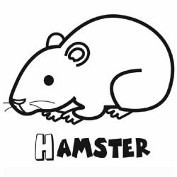 Dibujo de un hamster para colorear