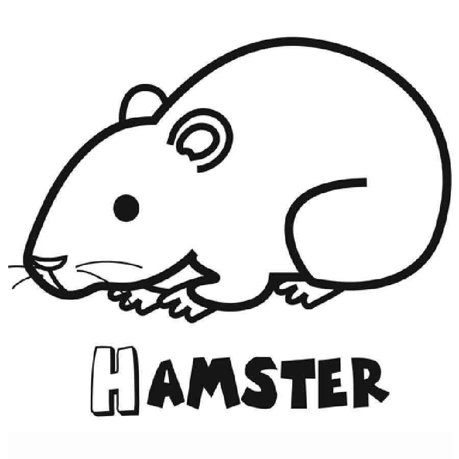 Dibujo de un hamster para colorear