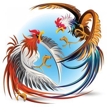 Los dos gallos