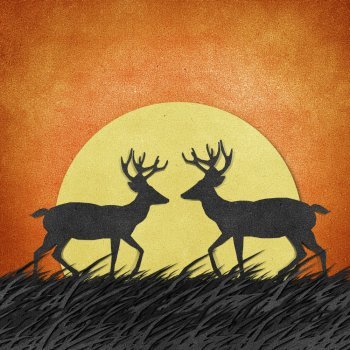 El ciervo y los bueyes