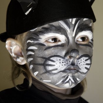 Maquillaje para niños. Un gato