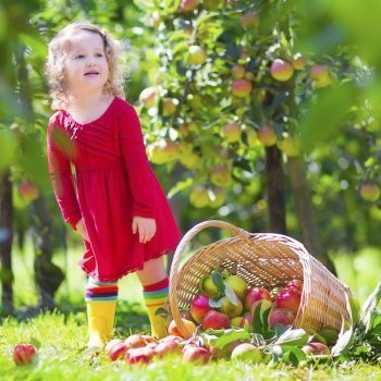 Alimentos ecológicos. Dieta sana para niños