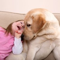 Beneficios de las terapias con animales para niños con discapacidad