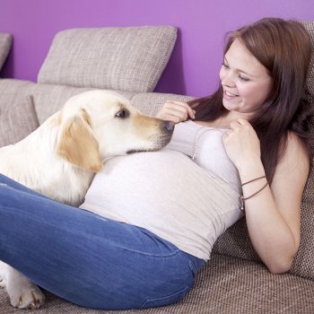 Consejos de cómo preparar la mascota para la llegada del bebé
