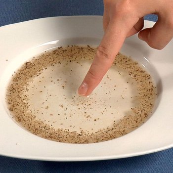 Cómo separar la pimienta del agua. Ciencia divertida