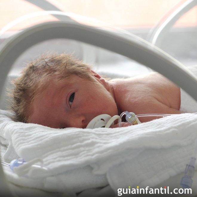 seta reflejar respuesta Estimulación temprana en bebés prematuros