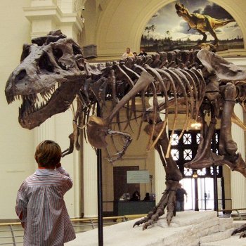 Los mejores museos del mundo para niños