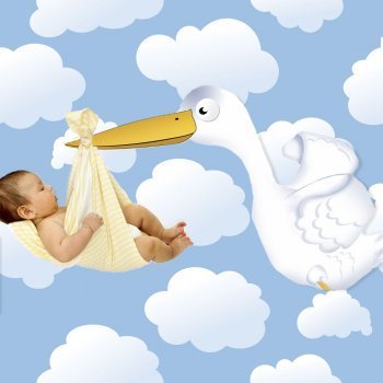 La leyenda de la cigüeña y los bebés