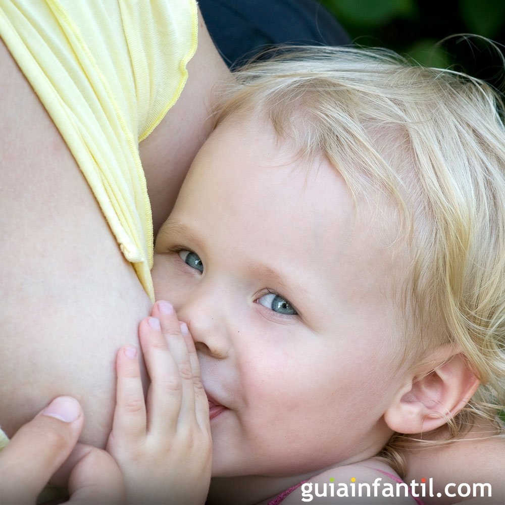 ¿Puedo volver a dar el pecho a mi bebé tras el destete? Relactar al bebé es  posible con estos consejos de una asesora de lactancia