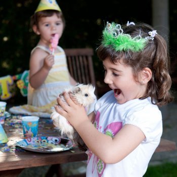 Cuál es la mascota ideal para los niños