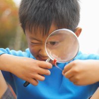 Cómo son los niños observadores