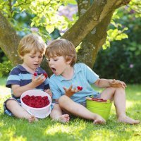 Menú de primavera para niños con bajo peso