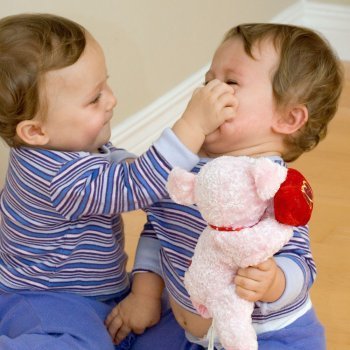 Qué hacer cuando un niño araña